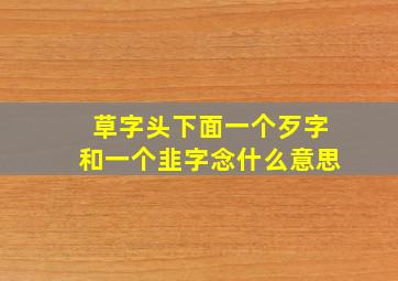 草字头下面一个歹字和一个韭字念什么意思