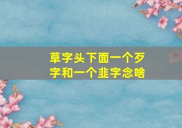 草字头下面一个歹字和一个韭字念啥