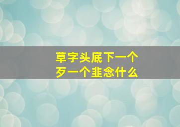 草字头底下一个歹一个韭念什么