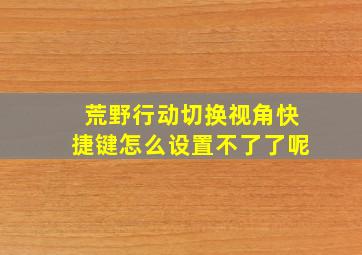 荒野行动切换视角快捷键怎么设置不了了呢