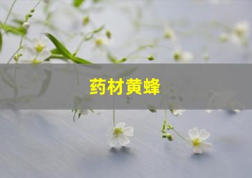 药材黄蜂