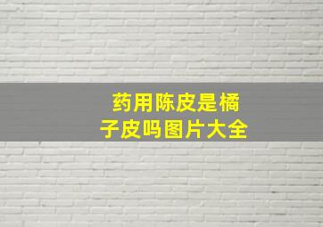 药用陈皮是橘子皮吗图片大全