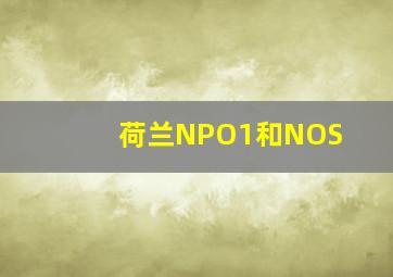 荷兰NPO1和NOS