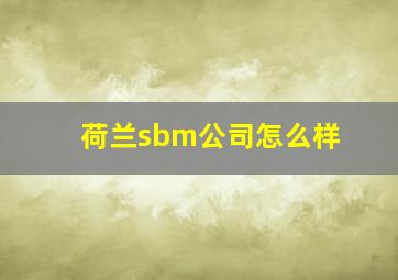 荷兰sbm公司怎么样