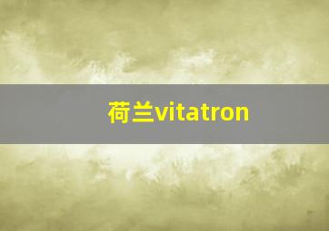 荷兰vitatron