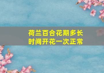 荷兰百合花期多长时间开花一次正常