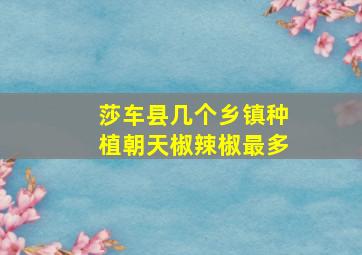 莎车县几个乡镇种植朝天椒辣椒最多