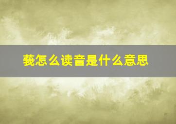 莪怎么读音是什么意思