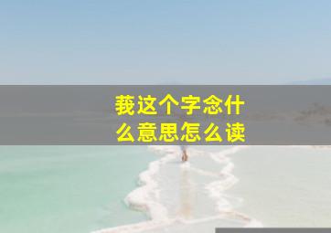 莪这个字念什么意思怎么读