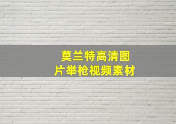 莫兰特高清图片举枪视频素材