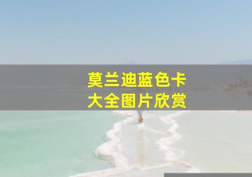 莫兰迪蓝色卡大全图片欣赏