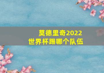 莫德里奇2022世界杯踢哪个队伍