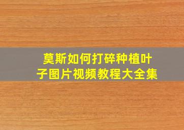 莫斯如何打碎种植叶子图片视频教程大全集