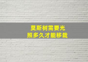 莫斯树需要光照多久才能移栽