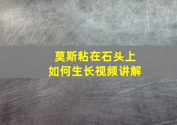 莫斯粘在石头上如何生长视频讲解