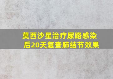 莫西沙星治疗尿路感染后20天复查肺结节效果