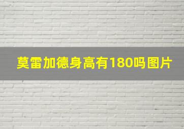 莫雷加德身高有180吗图片