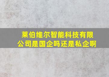 莱伯维尔智能科技有限公司是国企吗还是私企啊