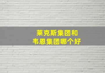 莱克斯集团和韦恩集团哪个好