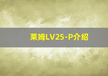 莱姆LV25-P介绍