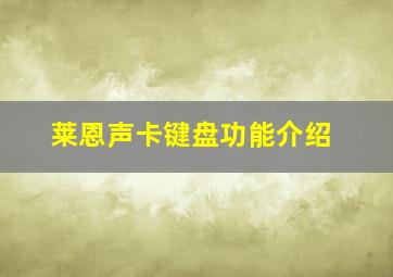 莱恩声卡键盘功能介绍