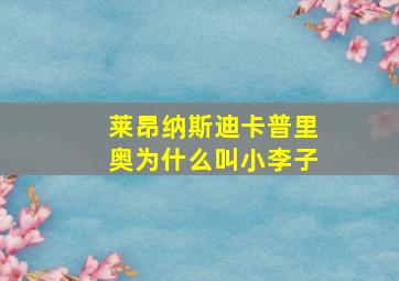 莱昂纳斯迪卡普里奥为什么叫小李子