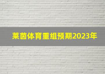 莱茵体育重组预期2023年