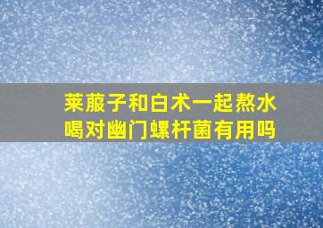 莱菔子和白术一起熬水喝对幽门螺杆菌有用吗