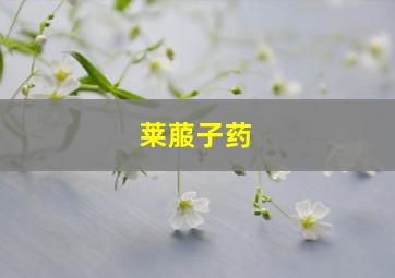 莱菔子药