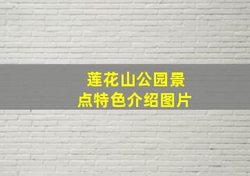 莲花山公园景点特色介绍图片