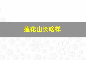 莲花山长啥样