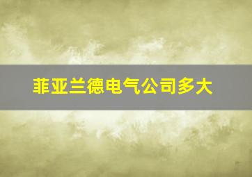 菲亚兰德电气公司多大