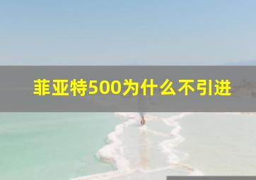 菲亚特500为什么不引进