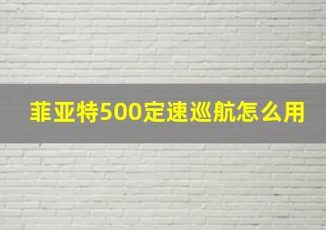 菲亚特500定速巡航怎么用