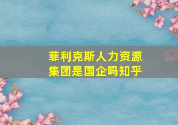 菲利克斯人力资源集团是国企吗知乎