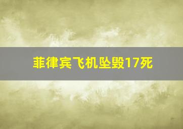 菲律宾飞机坠毁17死