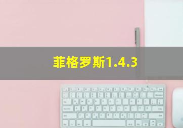 菲格罗斯1.4.3