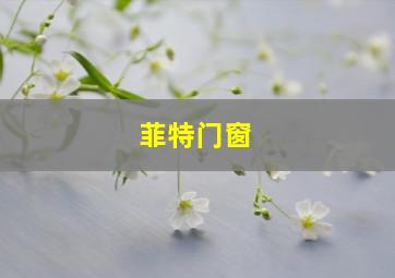 菲特门窗