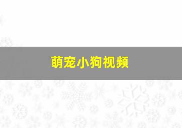 萌宠小狗视频