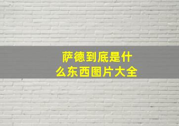 萨德到底是什么东西图片大全