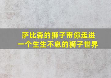 萨比森的狮子带你走进一个生生不息的狮子世界