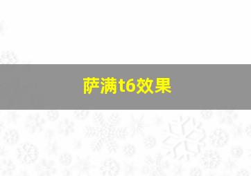 萨满t6效果