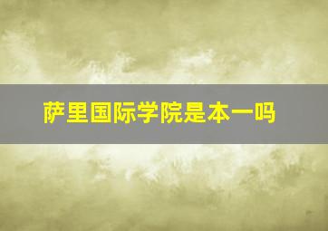 萨里国际学院是本一吗