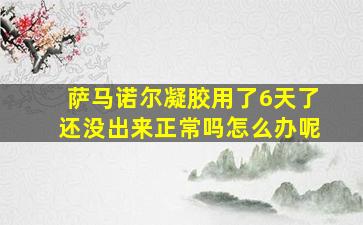 萨马诺尔凝胶用了6天了还没出来正常吗怎么办呢