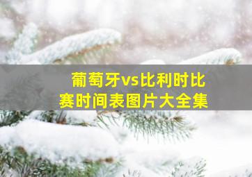 葡萄牙vs比利时比赛时间表图片大全集