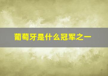 葡萄牙是什么冠军之一