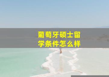 葡萄牙硕士留学条件怎么样