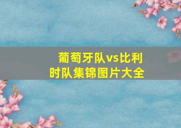 葡萄牙队vs比利时队集锦图片大全