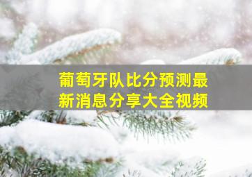 葡萄牙队比分预测最新消息分享大全视频