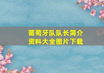 葡萄牙队队长简介资料大全图片下载